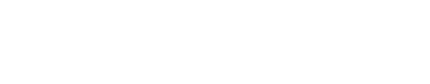 Logo InteliReg